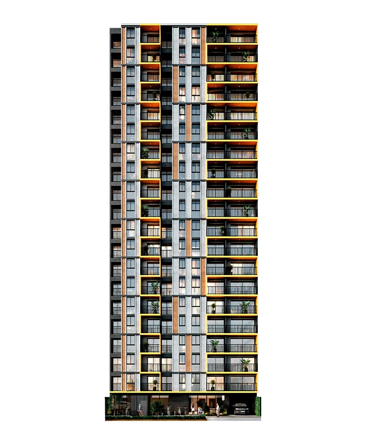 Proyecto vibrant